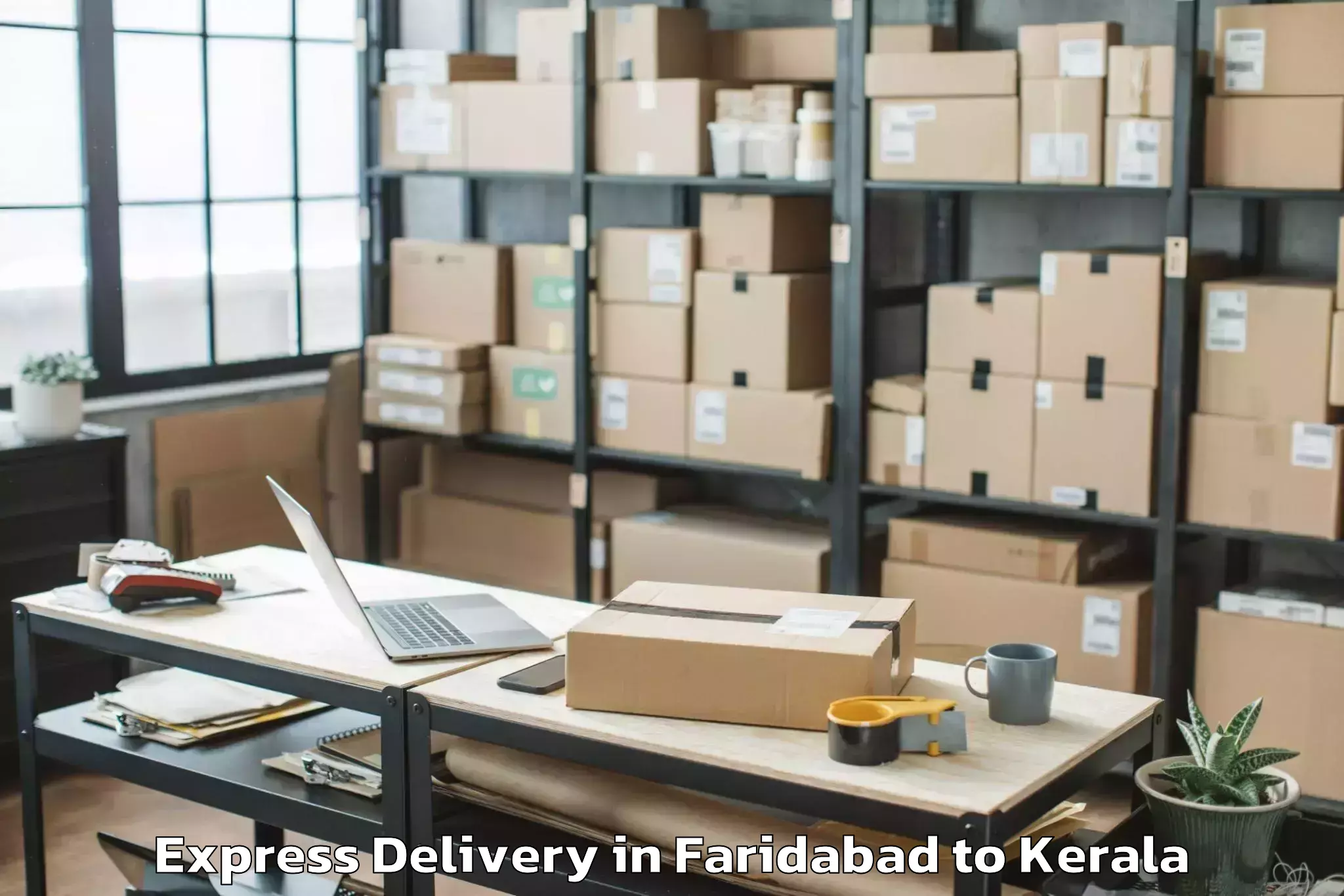 Top Faridabad to Mannarkad Express Delivery Available